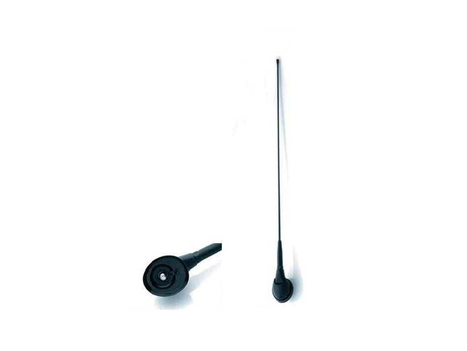 ACV, Antenne Am/fm Oem Alfa/fiat/lancia Passiv