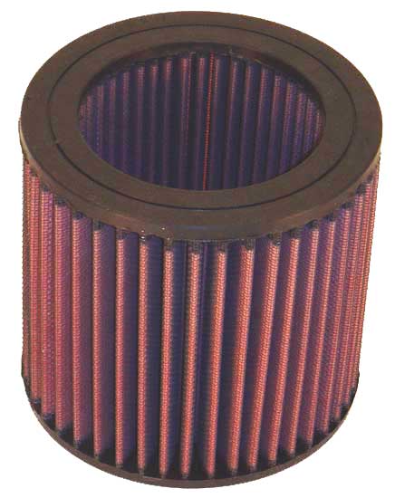 K&N, High-Performance Luftfilter E2455